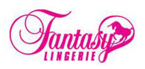 Fantasy Lingerie